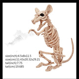 New Skeleton Dragon Dog Animal 100% Plastic Animal Skeleton Bones Horror Halloween Prop Animal Horror House Party Decoration