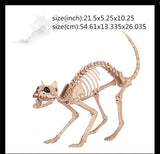 New Skeleton Dragon Dog Animal 100% Plastic Animal Skeleton Bones Horror Halloween Prop Animal Horror House Party Decoration