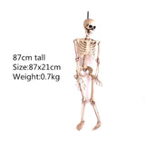 New Skeleton Dragon Dog Animal 100% Plastic Animal Skeleton Bones Horror Halloween Prop Animal Horror House Party Decoration