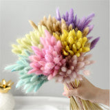 30pcs/Bundle Natural Dry Flower Bouquet Wedding Decoration Home Decoration Bunny Tail Grass Real Flower Party Decorations-C