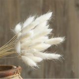 30pcs/Bundle Natural Dry Flower Bouquet Wedding Decoration Home Decoration Bunny Tail Grass Real Flower Party Decorations-C