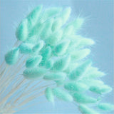 30pcs/Bundle Natural Dry Flower Bouquet Wedding Decoration Home Decoration Bunny Tail Grass Real Flower Party Decorations-C