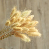 30pcs/Bundle Natural Dry Flower Bouquet Wedding Decoration Home Decoration Bunny Tail Grass Real Flower Party Decorations-C