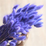 30pcs/Bundle Natural Dry Flower Bouquet Wedding Decoration Home Decoration Bunny Tail Grass Real Flower Party Decorations-C