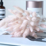 30pcs/Bundle Natural Dry Flower Bouquet Wedding Decoration Home Decoration Bunny Tail Grass Real Flower Party Decorations-C